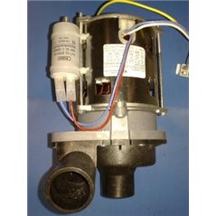 CJT.BOMBA-MOTOR 1/3CV 280W AR1300 CARCAS